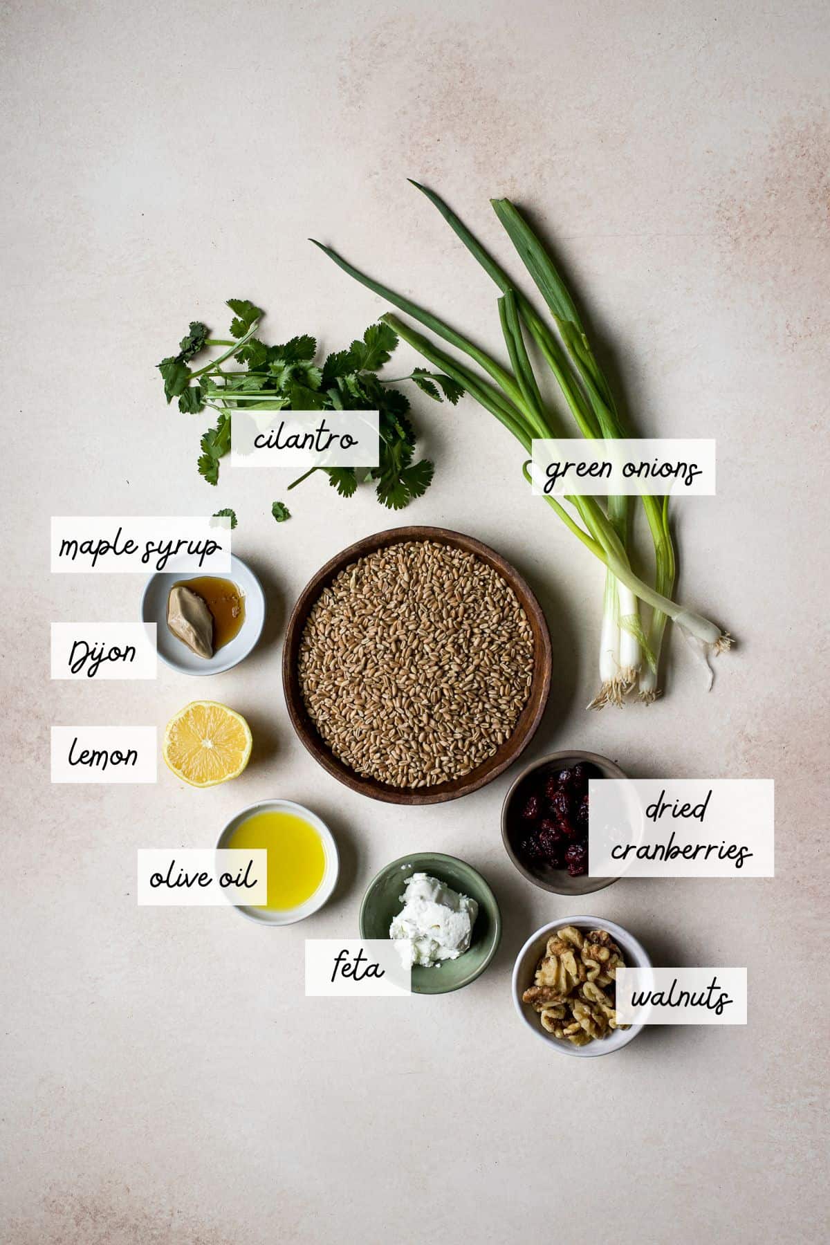 Ingredients needed to make wheat berry salad.