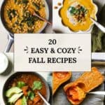 Easy fall recipes with roasted butternut squash, turkey chili, Thai butternut soup, and pumpkin curry.