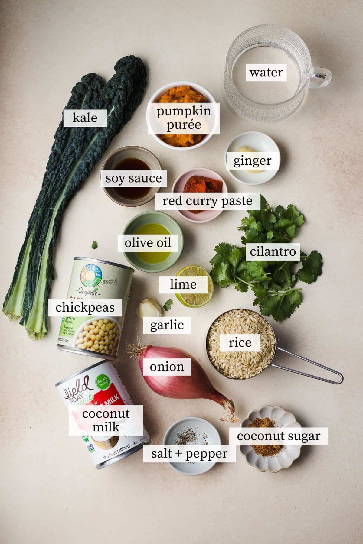 Ingredients needed for Thai pumpkin curry.