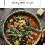 Spring minestrone with potatoes in bowl.