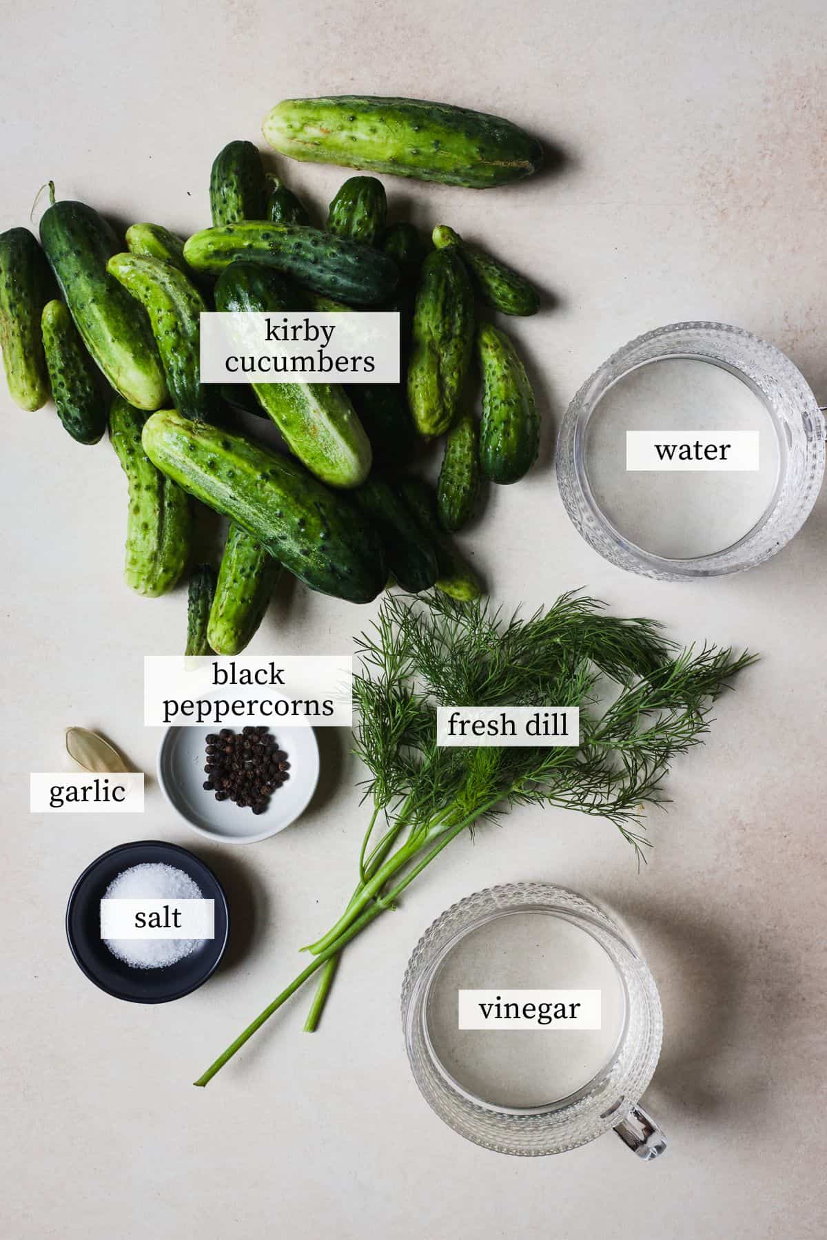 Ingredients needed for cucumber dill refrigerator pickles.